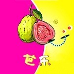 芭乐视app下载网址进入ios破解在线观看