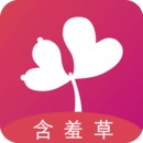 六夜正版播放器下载大全