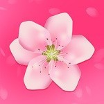 桃花直播免费观看日本最新版