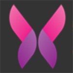 嘿咻老司机aPP