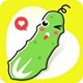 爱情岛最新版app