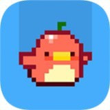 下落小鸟Falling Birdz游戏下载
